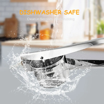 Stainless Steel Potato Ricer Masher with 3 Interchangeable Discs,Multi Functional Manual Press for Spaetzle, Gnocchi, Spaghetti, Potatoes, Fruits, Vegetables,Heavy Duty Kitchen Tool, Easy Squeeze